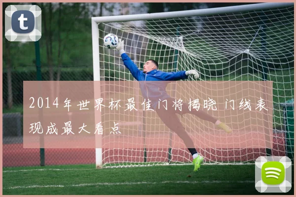 2014年世界杯最佳门将揭晓 门线表现成最大看点
