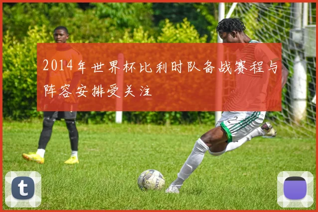 2014年世界杯比利时队备战赛程与阵容安排受关注