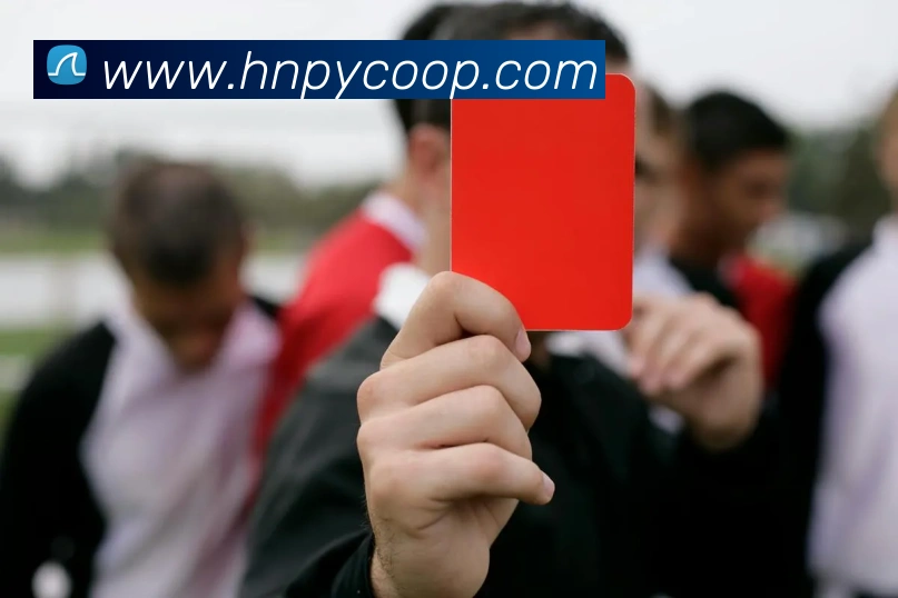 世界杯官网登录app平台生态图