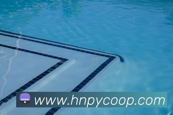 世界杯官网登录app全站App